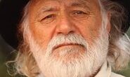 Rade Šerbedžija