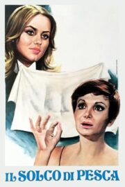 Il Solco Di Pesca izle