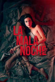 La Mala Noche izle