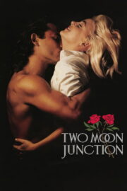 İlişki – Two Moon Junction izle